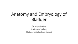 Anatomy and Embryology of
Bladder
Dr. Deepesh Kalra
Institute of urology
Madras medical college, chennai
 