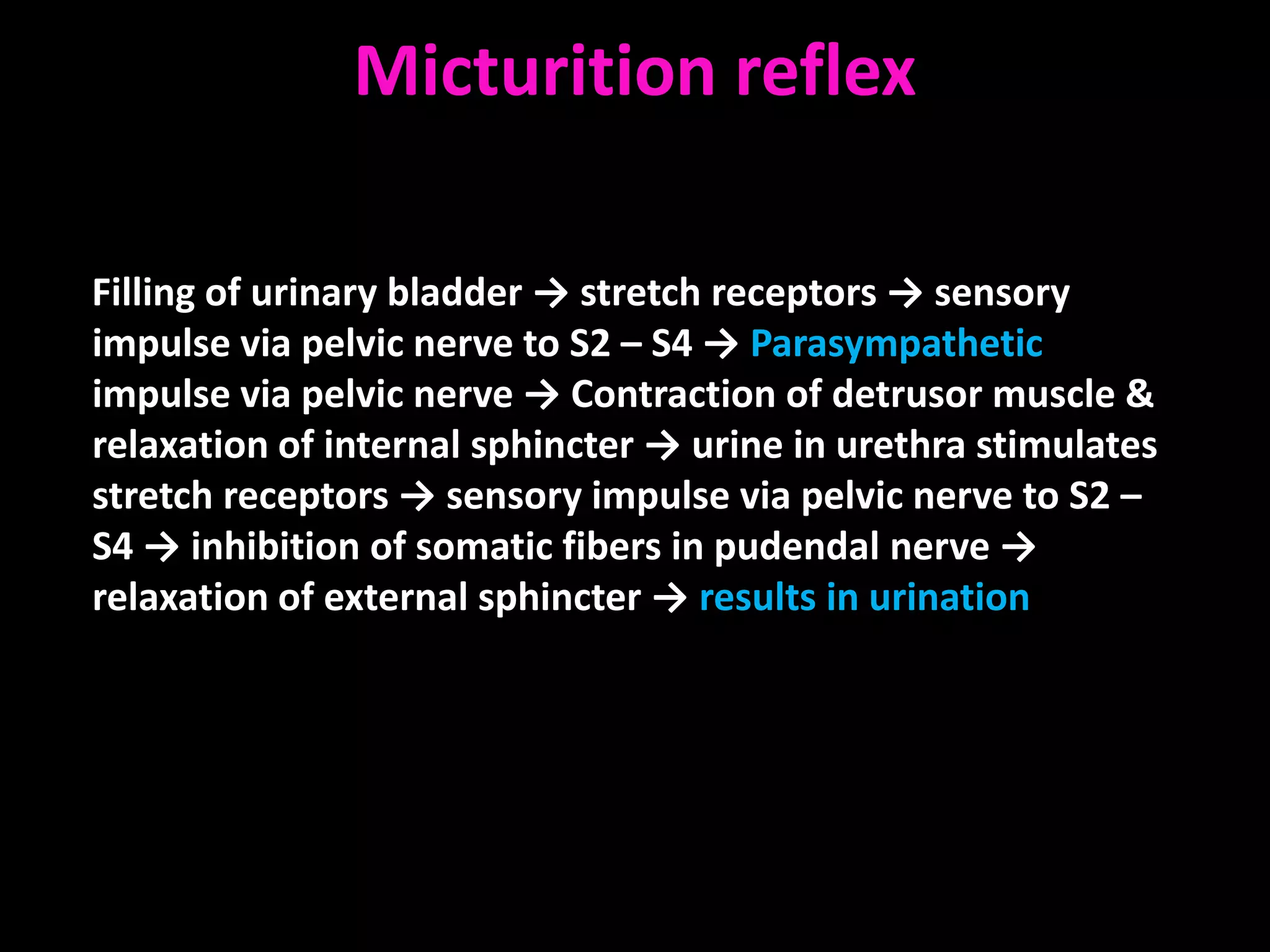 Micturition reflex

Filling of urinary bladder → stretch receptors → sensory
impulse via pelvic nerve to S2 – S4 → Parasympathetic
impulse via pelvic nerve → Contraction of detrusor muscle &
relaxation of internal sphincter → urine in urethra stimulates
stretch receptors → sensory impulse via pelvic nerve to S2 –
S4 → inhibition of somatic fibers in pudendal nerve →
relaxation of external sphincter → results in urination
 