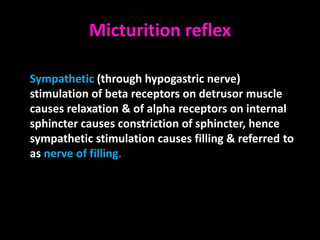 Micturition reflex

Sympathetic (through hypogastric nerve)
stimulation of beta receptors on detrusor muscle
causes relaxation & of alpha receptors on internal
sphincter causes constriction of sphincter, hence
sympathetic stimulation causes filling & referred to
as nerve of filling.
 