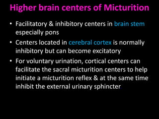 Higher brain centers of Micturition
• Facilitatory & inhibitory centers in brain stem
  especially pons
• Centers located in cerebral cortex is normally
  inhibitory but can become excitatory
• For voluntary urination, cortical centers can
  facilitate the sacral micturition centers to help
  initiate a micturition reflex & at the same time
  inhibit the external urinary sphincter.
 