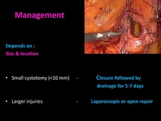 Management

    Intra-operative bladder injury
Depends on :
Size & location



• Small cystotomy (<10 mm)           -     Closure followed by
                                           drainage for 5-7 days

• Larger injuries                    -   Laparoscopic or open repair
 