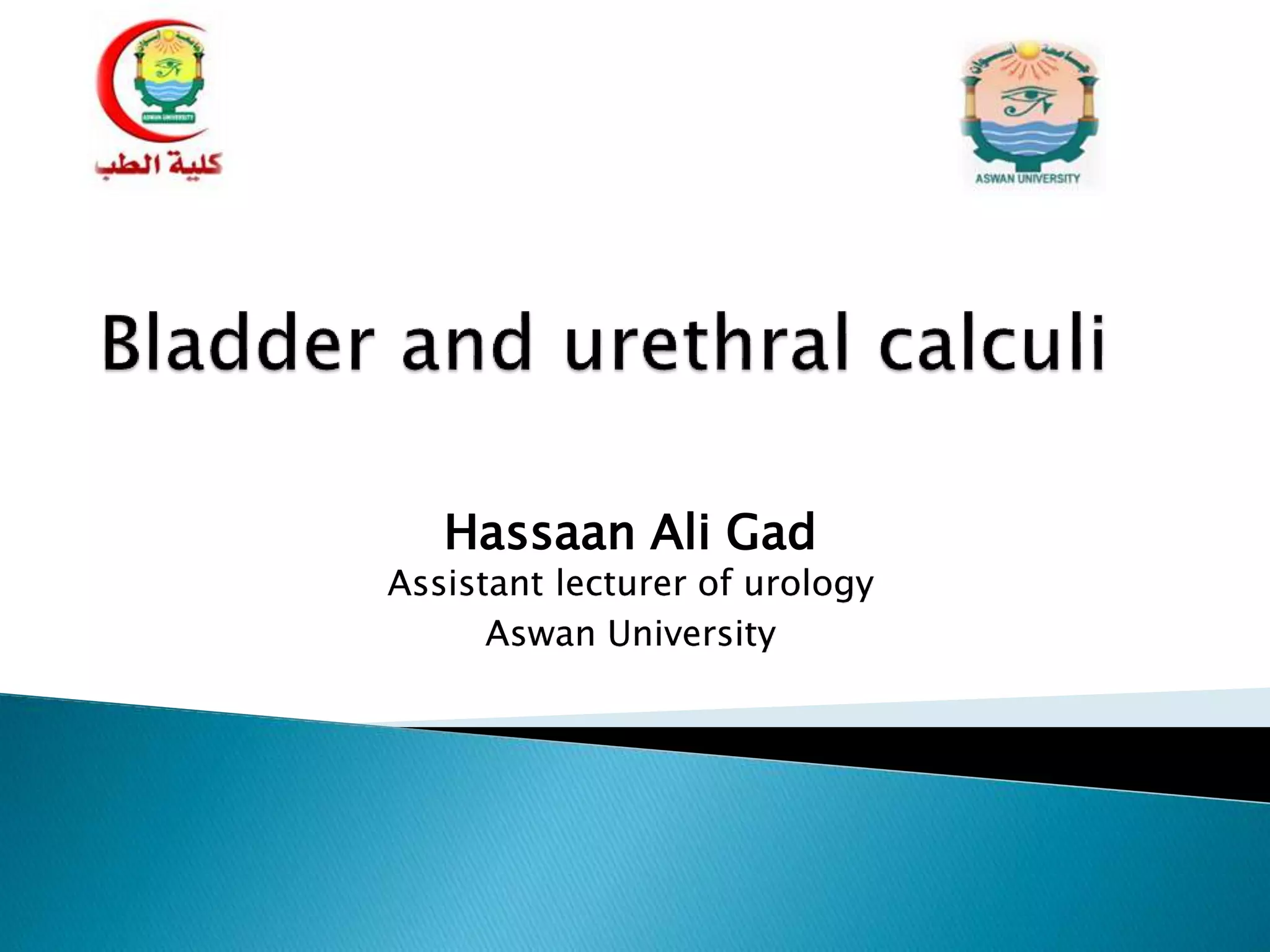 Hassaan Ali Gad
Assistant lecturer of urology
Aswan University