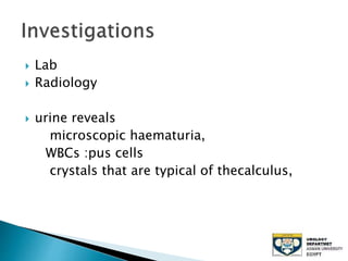  Lab
 Radiology
 urine reveals
microscopic haematuria,
WBCs :pus cells
crystals that are typical of thecalculus,
 