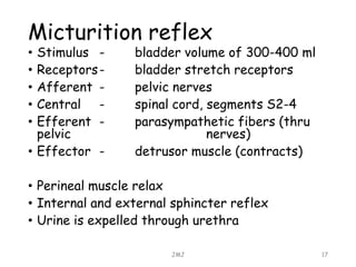 Micturition reflex
• Stimulus - bladder volume of 300-400 ml
• Receptors- bladder stretch receptors
• Afferent - pelvic nerves
• Central - spinal cord, segments S2-4
• Efferent - parasympathetic fibers (thru
pelvic nerves)
• Effector - detrusor muscle (contracts)
• Perineal muscle relax
• Internal and external sphincter reflex
• Urine is expelled through urethra
JMJ 17
 