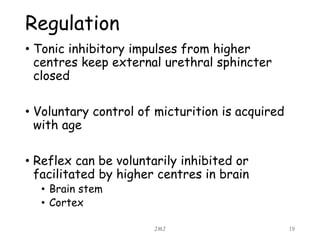 Regulation
• Tonic inhibitory impulses from higher
centres keep external urethral sphincter
closed
• Voluntary control of micturition is acquired
with age
• Reflex can be voluntarily inhibited or
facilitated by higher centres in brain
• Brain stem
• Cortex
JMJ 19
 