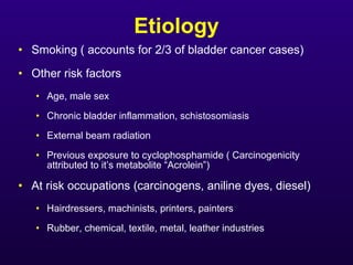 Etiology <ul><li>Smoking ( accounts for 2/3 of bladder cancer cases) </li></ul><ul><li>Other risk factors </li></ul><ul><u...