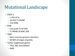 Mutational Landscape
• FGFR 3
• ≥ 70% of Ta
• 10-45% T1 NMIBC
• 15% MIBC
• PI3K
• Low grade Ta 40-50%
• T1 NMIBC & MIBC 20%
• TERT
• Most common genomic alteration
• 60-80% all stages all grades
• Tumor suppressor genes
• TP53, RB1 and CDKN2A
• MIBC
 