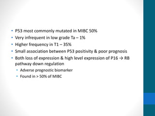 • P53 most commonly mutated in MIBC 50%
• Very infrequent in low grade Ta – 1%
• Higher frequency in T1 – 35%
• Small association between P53 positivity & poor prognosis
• Both loss of expression & high level expression of P16 → RB
pathway down regulation
• Adverse prognostic biomarker
• Found in > 50% of MIBC
 