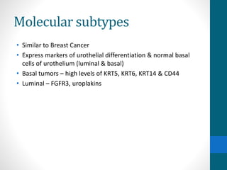 Molecular subtypes
• Similar to Breast Cancer
• Express markers of urothelial differentiation & normal basal
cells of urothelium (luminal & basal)
• Basal tumors – high levels of KRT5, KRT6, KRT14 & CD44
• Luminal – FGFR3, uroplakins
 