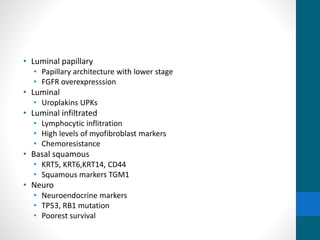 • Luminal papillary
• Papillary architecture with lower stage
• FGFR overexpresssion
• Luminal
• Uroplakins UPKs
• Luminal infiltrated
• Lymphocytic inflitration
• High levels of myofibroblast markers
• Chemoresistance
• Basal squamous
• KRT5, KRT6,KRT14, CD44
• Squamous markers TGM1
• Neuro
• Neuroendocrine markers
• TP53, RB1 mutation
• Poorest survival
 
