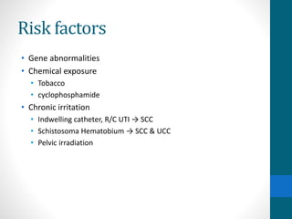 Risk factors
• Gene abnormalities
• Chemical exposure
• Tobacco
• cyclophosphamide
• Chronic irritation
• Indwelling catheter, R/C UTI → SCC
• Schistosoma Hematobium → SCC & UCC
• Pelvic irradiation
 