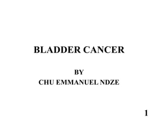 BLADDER CANCER
BY
CHU EMMANUEL NDZE
1
 