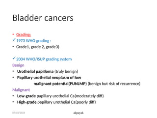 Comprehensive Overview of Bladder Cancer: Diagnosis, Staging, and ...