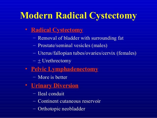 Bladder cancer Dr abeer Elsayed