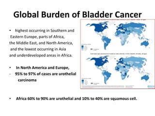 Global Burden of Bladder Cancer
• highest occurring in Southern and
Eastern Europe, parts of Africa,
the Middle East, and North America,
and the lowest occurring in Asia
and underdeveloped areas in Africa.
• In North America and Europe,
- 95% to 97% of cases are urothelial
carcinoma
• Africa 60% to 90% are urothelial and 10% to 40% are squamous cell.
 