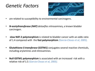 Genetic Factors
• are related to susceptibility to environmental carcinogens.
• N-acetyltransferase (NAT) detoxifies nitrosamines, a known bladder
carcinogen.
• slow NAT-2 polymorphism is related to bladder cancer with an odds ratio
of 1.4 compared with the fast polymorphism (Garcia-Closas et al, 2005).
• Glutathione-S-transferase (GSTM1) conjugates several reactive chemicals,
including arylamines and nitrosamines.
• Null GSTM1 polymorphism is associated with an increased risk with a
relative risk of 1.5 (Garcia-Closas et al, 2005).
 