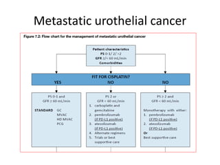 Metastatic urothelial cancer
 