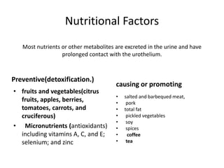 Nutritional Factors
Most nutrients or other metabolites are excreted in the urine and have
prolonged contact with the urothelium.
Preventive(detoxification.)
• fruits and vegetables(citrus
fruits, apples, berries,
tomatoes, carrots, and
cruciferous)
• Micronutrients (antioxidants)
including vitamins A, C, and E;
selenium; and zinc
causing or promoting
• salted and barbequed meat,
• pork
• total fat
• pickled vegetables
• soy
• spices
• coffee
• tea
 