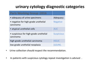 urinary cytology diagnostic categories
• Urine collection should respect the recommendation.
• In patients with suspicious cytology repeat investigation is advised .
Paris Working Group :2016
• adequacy of urine specimens Adequacy
• negative for high-grade urothelial
carcinoma
Negative
• atypical urothelial cells AUC
• suspicious for high-grade urothelial
carcinoma
Suspicious
high-grade urothelial carcinoma HGUC
low-grade urothelial neoplasia (LGUN).
 