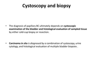 Cystoscopy and biopsy
• The diagnosis of papillary BC ultimately depends on cystoscopic
examination of the bladder and histological evaluation of sampled tissue
by either cold-cup biopsy or resection.
• Carcinoma in situ is diagnosed by a combination of cystoscopy, urine
cytology, and histological evaluation of multiple bladder biopsies .
 