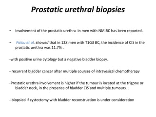Prostatic urethral biopsies
• Involvement of the prostatic urethra in men with NMIBC has been reported.
• Palou et al. showed that in 128 men with T1G3 BC, the incidence of CIS in the
prostatic urethra was 11.7% .
-with positive urine cytology but a negative bladder biopsy.
- recurrent bladder cancer after multiple courses of intravesical chemotherapy
-Prostatic urethra involvement is higher if the tumour is located at the trigone or
bladder neck, in the presence of bladder CIS and multiple tumours .
- biopsied if cystectomy with bladder reconstruction is under consideration
 