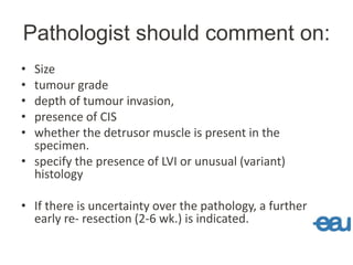 Pathologist should comment on:
• Size
• tumour grade
• depth of tumour invasion,
• presence of CIS
• whether the detrusor muscle is present in the
specimen.
• specify the presence of LVI or unusual (variant)
histology
• If there is uncertainty over the pathology, a further
early re- resection (2-6 wk.) is indicated.
 