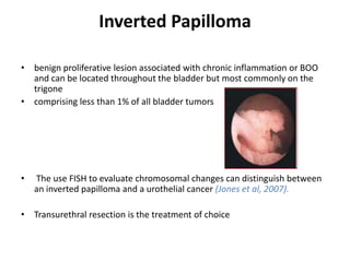 Inverted Papilloma
• benign proliferative lesion associated with chronic inflammation or BOO
and can be located throughout the bladder but most commonly on the
trigone
• comprising less than 1% of all bladder tumors
• The use FISH to evaluate chromosomal changes can distinguish between
an inverted papilloma and a urothelial cancer (Jones et al, 2007).
• Transurethral resection is the treatment of choice
 