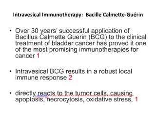 Intravesical Immunotherapy: Bacille Calmette-Guérin
• Over 30 years’ successful application of
Bacillus Calmette Guerin (BCG) to the clinical
treatment of bladder cancer has proved it one
of the most promising immunotherapies for
cancer 1
• Intravesical BCG results in a robust local
immune response 2
• directly reacts to the tumor cells, causing
apoptosis, necrocytosis, oxidative stress, 1
1. Jiansong Han et al, 2020 ; Mechanisms of BCG in the treatment of bladder cancer-current understanding and the prospect
2. Shen et al., 2008
 