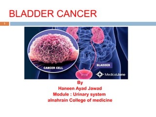 BLADDER CANCER
1
By
Haneen Ayad Jawad
Module : Urinary system
alnahrain College of medicine
 