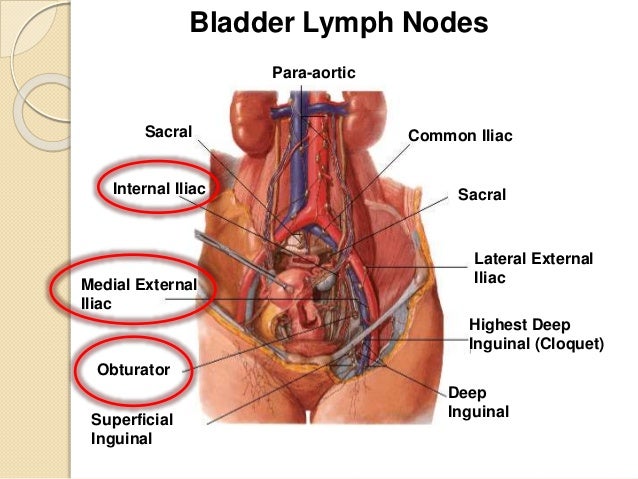 Radiation for the Treatment of Bladder Cancer