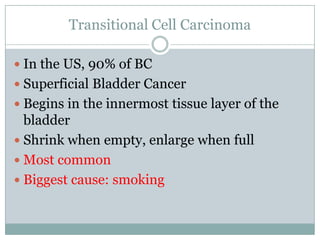 Transitional Cell CarcinomaIn the US, 90% of BCSuperficial Bladder CancerBegins in the innermost tissue layer of the bladderShrink when empty, enlarge when fullMost commonBiggest cause: smoking