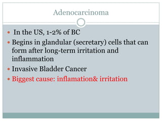 Adenocarcinoma In the US, 1-2% of BCBegins in glandular (secretary) cells that can form after long-term irritation and inflammationInvasive Bladder CancerBiggest cause: inflamation & irritation