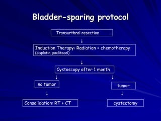 Bladder-sparing protocol
Transurthral resection

Induction Therapy: Radiation + chemotherapy
(cisplatin, paclitacel)

Cystoscopy after 1 month
no tumor

Consolidation: RT + CT

tumor
cystectomy

 