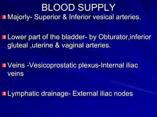 BLOOD SUPPLY
Majorly- Superior & Inferior vesical arteries.
Lower part of the bladder- by Obturator,inferior
gluteal ,uterine & vaginal arteries.

Veins -Vesicoprostatic plexus-Internal iliac
veins
Lymphatic drainage- External iliac nodes

 