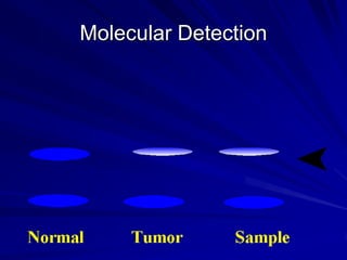 Molecular Detection

 