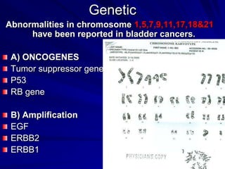 Genetic
Abnormalities in chromosome 1,5,7,9,11,17,18&21
have been reported in bladder cancers.

A) ONCOGENES
Tumor suppressor gene
P53
RB gene
B) Amplification
EGF
ERBB2
ERBB1

 