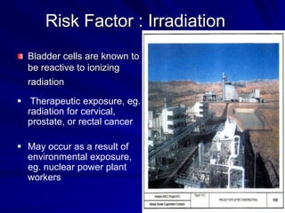 Risk Factor : Irradiation
Bladder cells are known to
be reactive to ionizing
radiation
 Therapeutic exposure, eg.
radiation for cervical,
prostate, or rectal cancer
 May occur as a result of
environmental exposure,
eg. nuclear power plant
workers

 