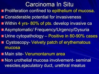 Carcinoma In Situ
Proliferation confined to epithelium of mucosa.
Considerable potential for invasiveness
Within 4 yrs- 80% of pts. develop invasive ca
Asymptomatic/ Frequency/Urgency/Dysuria
Urine cytopathology – Positive in 80-90% cases
Cystoscopy- Velvety patch of erythematous
mucosa
Main site- Verumontanum area
Non urothelial mucosa involvement- seminal
vesicles,ejaculatory duct, urethral meatus

 