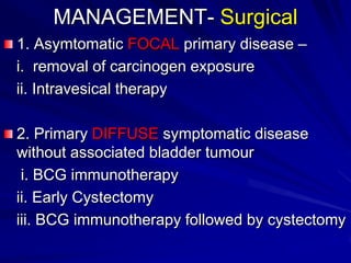 MANAGEMENT- Surgical
1. Asymtomatic FOCAL primary disease –
i. removal of carcinogen exposure
ii. Intravesical therapy
2. Primary DIFFUSE symptomatic disease
without associated bladder tumour
i. BCG immunotherapy
ii. Early Cystectomy
iii. BCG immunotherapy followed by cystectomy

 