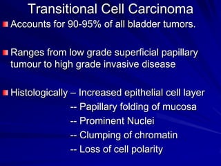 Transitional Cell Carcinoma
Accounts for 90-95% of all bladder tumors.
Ranges from low grade superficial papillary
tumour to high grade invasive disease

Histologically – Increased epithelial cell layer
-- Papillary folding of mucosa
-- Prominent Nuclei
-- Clumping of chromatin
-- Loss of cell polarity

 