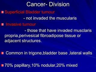 Cancer- Division
Superficial Bladder tumour
- not invaded the muscularis
Invasive tumour
- those that have invaded musclaris
propria,perivesical fibroadipose tissue or
adjacent structures.
Common in trigone,bladder base ,lateral walls
70% papillary,10% nodular,20% mixed

 