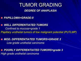 TUMOR GRADING
DEGREE OF ANAPLASIA
PAPILLOMA=GRADE-0
WELL DIFFERENTIATED TUMORS
Confined to mucosa=grade 1
Papillary urothelial tumors of low malignant potential (PUTLMP)
MOD. DIFFERENTIATED TUMORS=GRADE 2
Low grade urothelial carcinoma

POORLY DIFFERENTIATED TUMORS=grade 3
High grade urothelial carcinoma

 