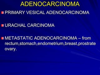 ADENOCARCINOMA
PRIMARY VESICAL ADENOCARCINOMA

URACHAL CARCINOMA
METASTATIC ADENOCARCINOMA – from
rectum,stomach,endometrium,breast,prostrate
ovary.

 