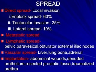 SPREAD
Direct spread- Local invasion
i.Enblock spread- 60%
ii. Tentacular invasion- 25%
iii. Lateral spread- 10%
Metastatic spread
Lymphatic spreadpelvic,paravesical,obturator,external iliac nodes
Vascular spread- Liver,lung,bone,adrenal
Implantation- abdominal wounds,denuded
urothelium,resected prostatic fossa,traumatized
urethra

 