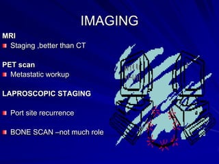 IMAGING
MRI
Staging ,better than CT
PET scan
Metastatic workup

LAPROSCOPIC STAGING
Port site recurrence

BONE SCAN –not much role

 