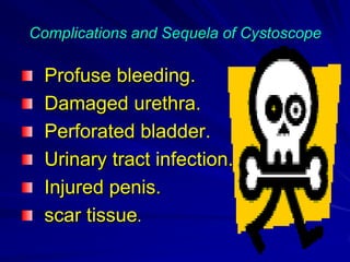 Complications and Sequela of Cystoscope

Profuse bleeding.
Damaged urethra.
Perforated bladder.
Urinary tract infection.
Injured penis.
scar tissue.

 