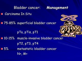 Bladder cancer:

Management

Carcinoma In Situ

75-85% superficial bladder cancer
pTa, pTis, pT1

10-15% muscle-invasive bladder cancer
pT2, pT3, pT4
5%

metastatic bladder cancer
N+, M+

 