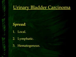 Urinary Bladder Carcinoma
Spread:
1. Local.
2. Lymphatic.
3. Hematogenous.
 