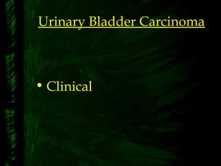 Urinary Bladder Carcinoma
• Clinical
 
