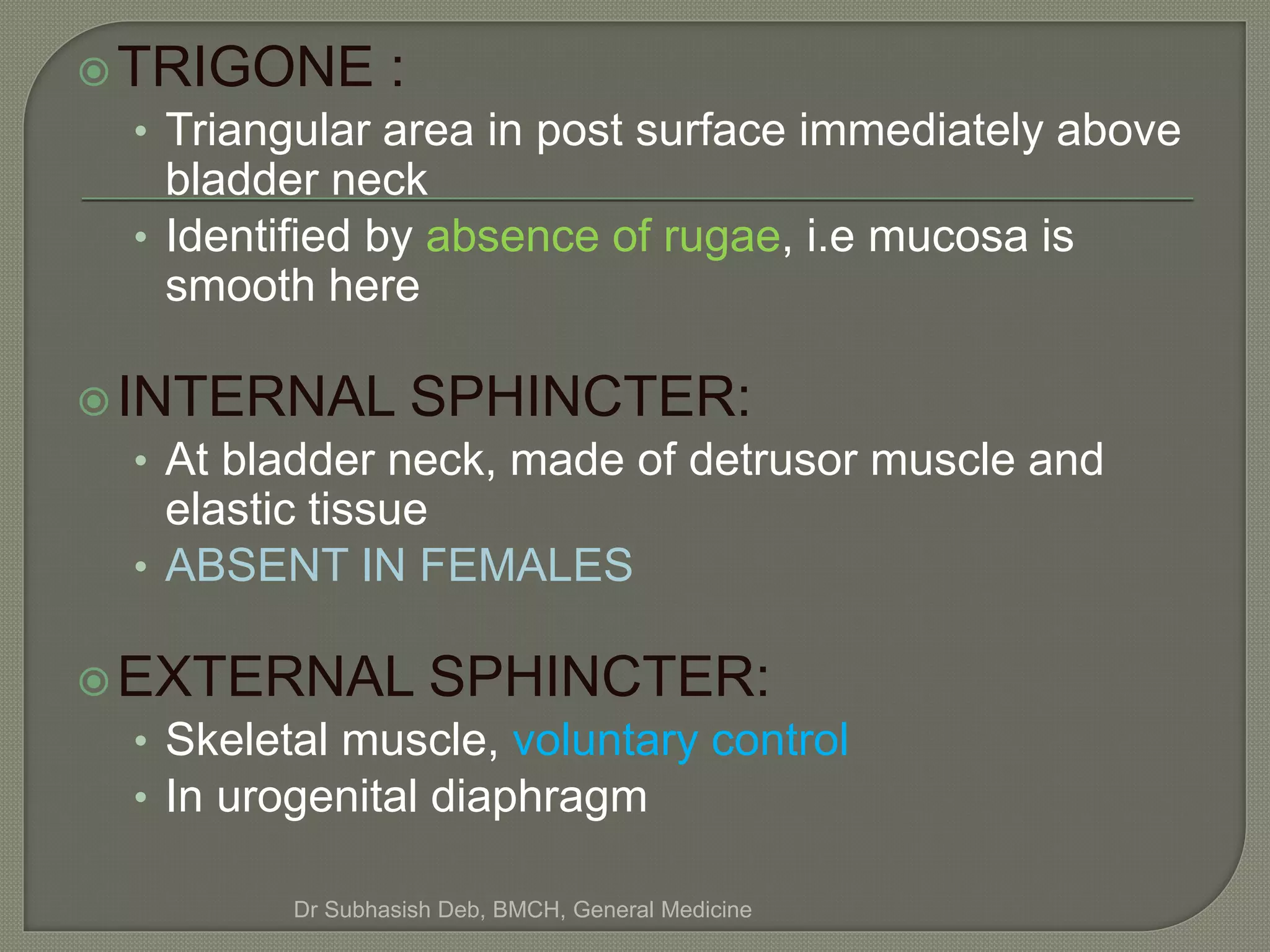 Bladder dysfunction in different neurological diseases | PPTX